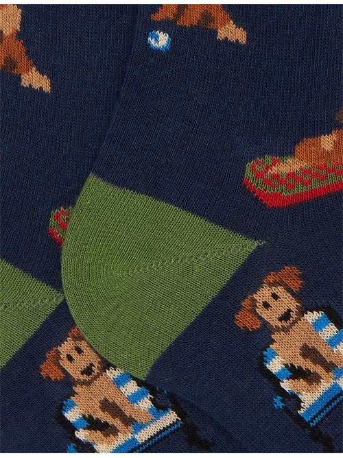 AP51628513105 FANTASIA gallo | AP51628513105 FANTASIA